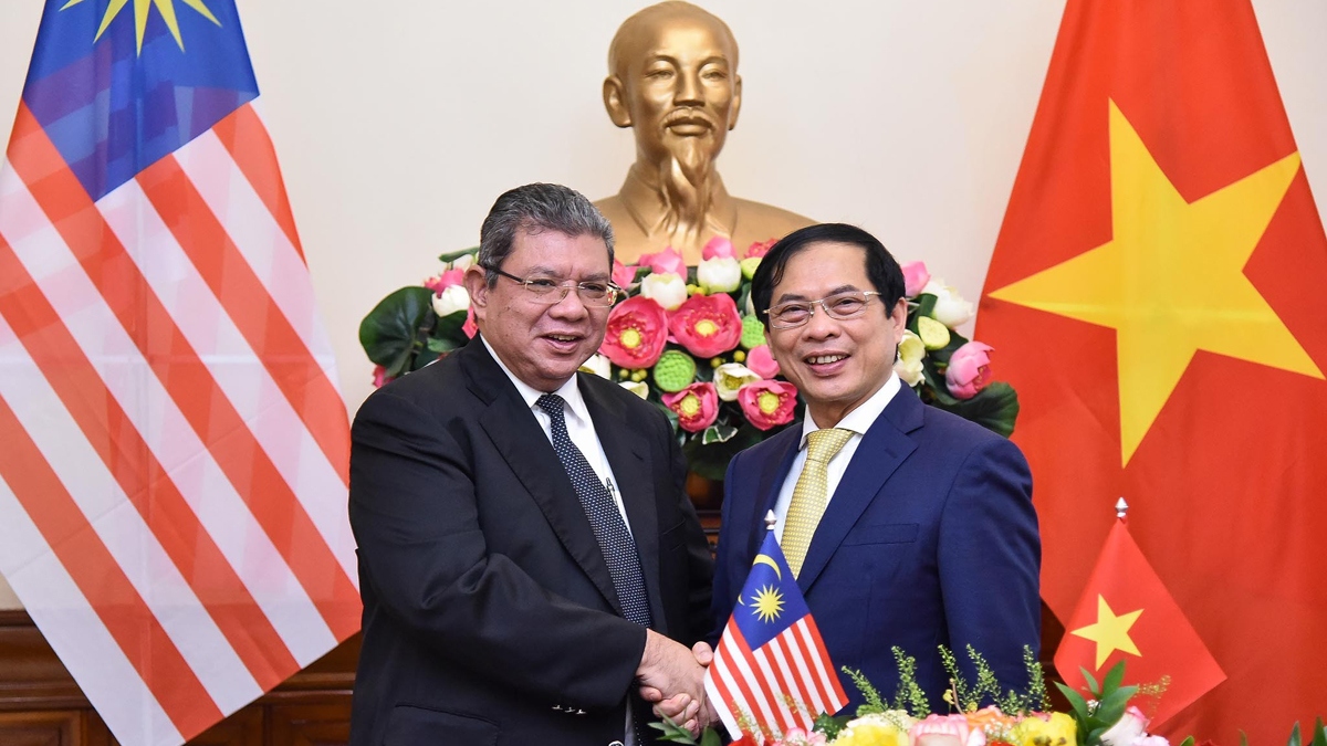 Vietnam, Malaysia FMs hold talks in Hanoi